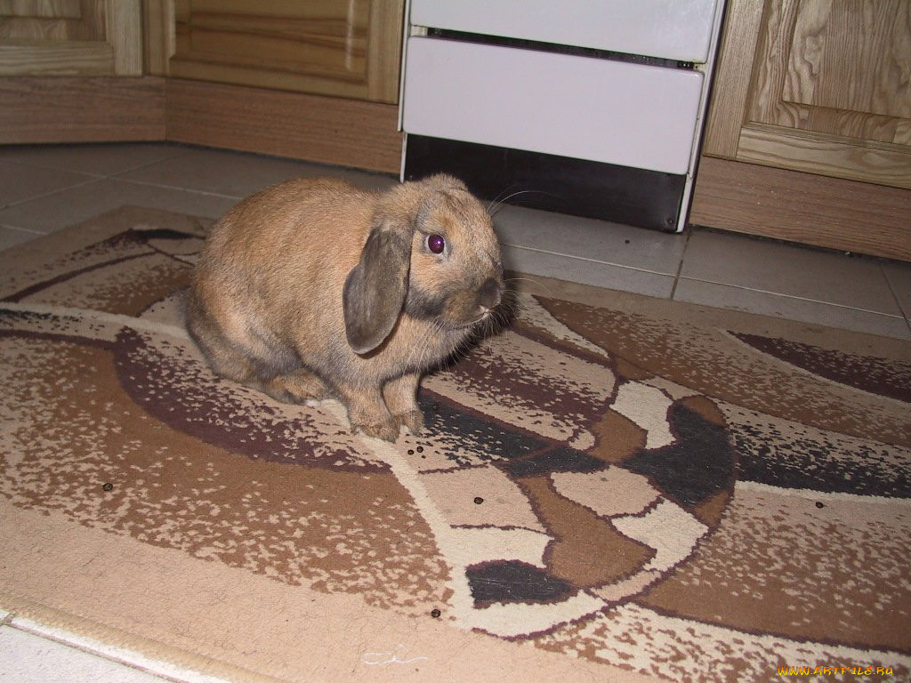 , , 